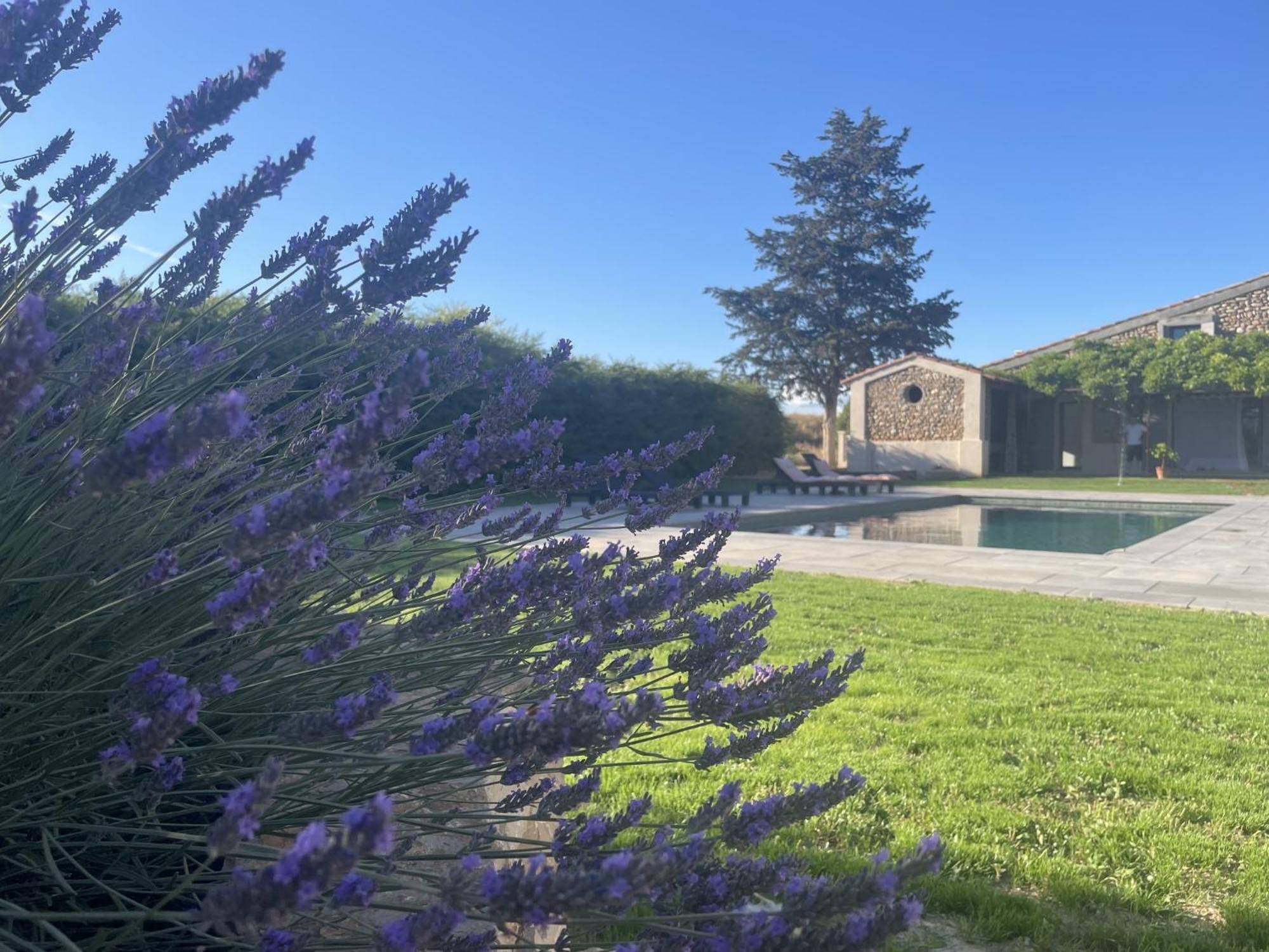 Les Mazets Du Pas Hotel Gréoux-les-Bains Buitenkant foto