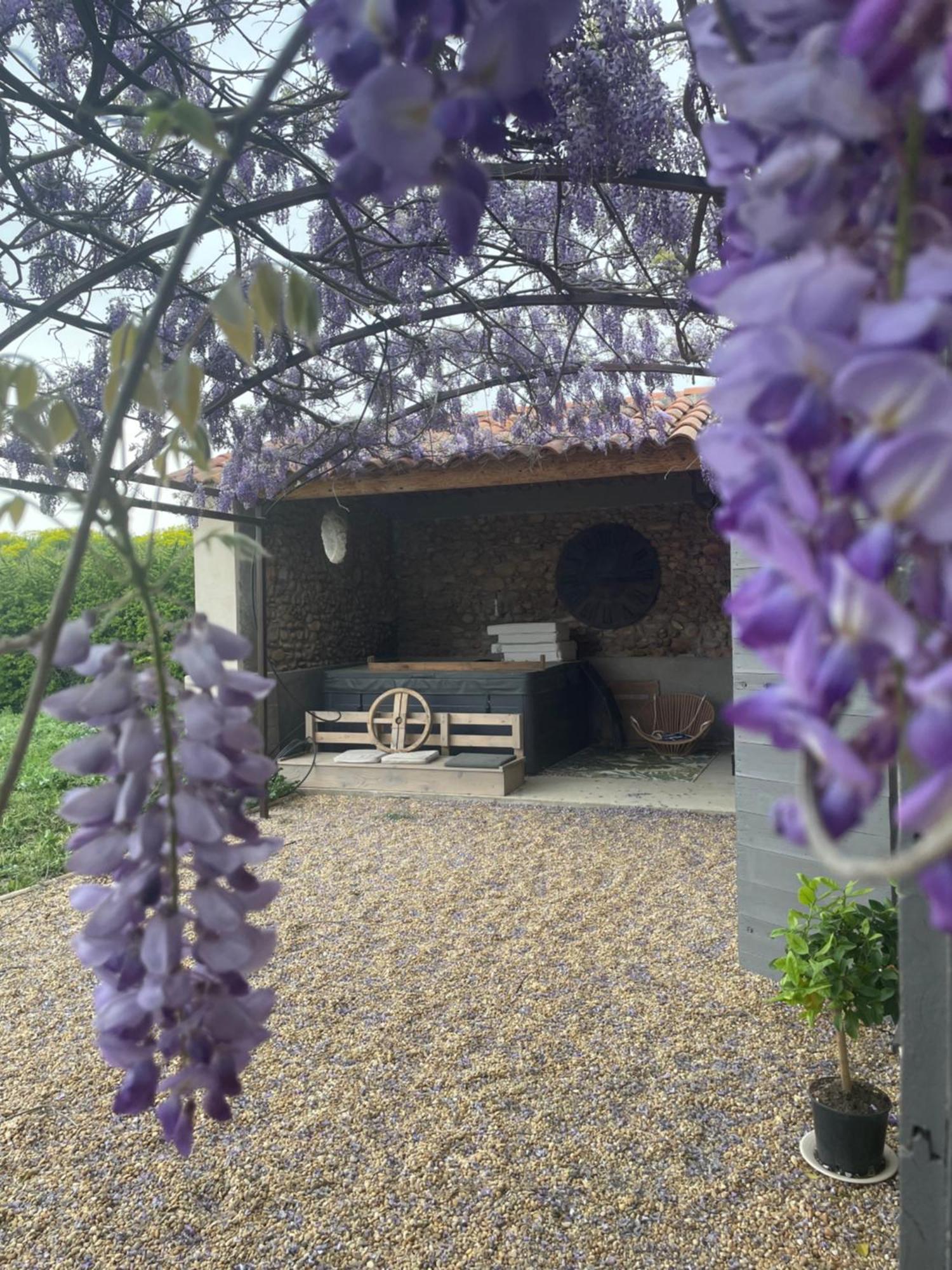 Les Mazets Du Pas Hotel Gréoux-les-Bains Buitenkant foto